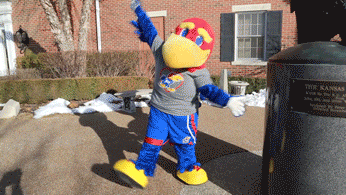 This 'Hawk is FIRED UP...